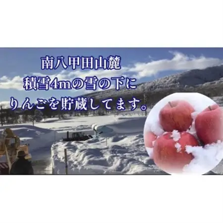 【2027年3月発】希少なりんご!　青森雪貯蔵りんご(サンふじ)　3kg箱【離島・沖縄配送不可】_果物・フルーツ りんご  リンゴ 林檎_【配送不可地域：離島・沖縄県】【1423601】
