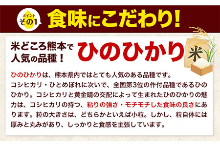 令和5年産 ひのひかり 無洗米 10kg 《30日以内に出荷予定(土日祝除く)》  5kg×2袋 熊本県産 米 精米 ひの 熊本県 南阿蘇村 st-p