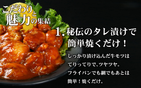 【小分け】 【秘伝のタレ付】 牛 もつ セット 10 人前｜小分け 6袋 計1.5kg 国産 味噌 もつ鍋 焼肉 時短 簡単 小腸 国産牛 パーティー 冬 ホルモン おつまみ 真空 冷凍 大ぶり 簡単調理 グルメ 忘年会 コラーゲン しょうちょう 鍋 バーベキュー 焼き肉 牛肉 肉 もつ モツ 内臓 モツ鍋 もつなべ ギフト 味噌味 味噌スープ 味噌ベース 小浜市 タレ 味付き 味付 [BFAP008] 【配送不可地域：北海道・沖縄・離島】 