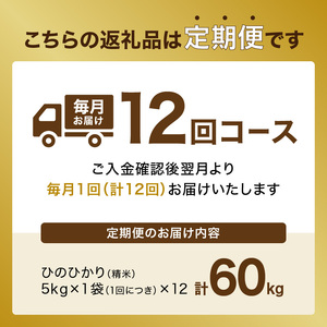【定期便12か月】木津川市お米60kg（5kg×12回） お米 定期便 12ヵ月 計60kg ヒノヒカリ 送料無料 定期便 京都米 おこめ 定期便 60kg こめ ライス お米 送料無料 一年分 お米 定期便 パッケージ 長期 お米 定期購入 お得 コース 白米 京都産お米 人気お米 お米 白米 国産  053-25