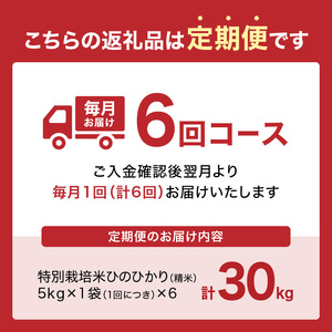 【定期便6か月】 特別栽培米 ひのひかり お米 30kg （5kg×6回） ヒノヒカリ ひのひかり 白米 精米 こめ ごはん 定期 6回 毎月届く お米定期便 ひのひかり定期便 お米 国産 安心 安全 特別栽培米 とみやま米穀店 京都米 053-30 