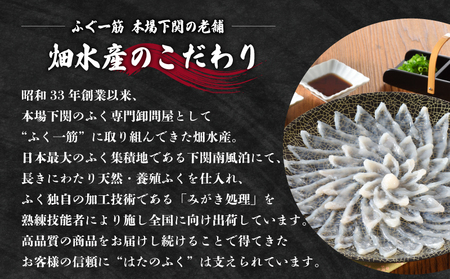 【2027年3月以降順次発送】 まふぐ刺身 3～4人前 冷凍 ふぐ ID