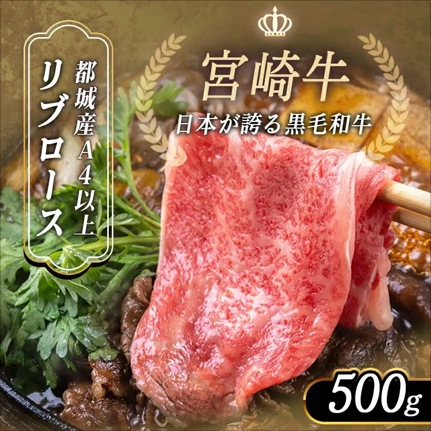 宮崎牛リブローススライス500g〔AO-2501〕_(都城市) 都城産 宮崎牛 リブローススライス 500g 