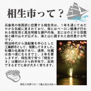 【返礼品なし】兵庫県相生市への寄付（3,000円分）