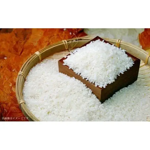 	《 令和7年産 》米 もちもちで上品な食感「一番星」精米5kg ／ 米 こめ コメ お米 おこめ 一番星 白米 ごはん 令和7年産 5kg 茨城県 利根町 送料無料