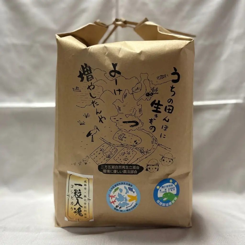 コシヒカリ 栽培期間中 白米10kg 精米 コシヒカリ