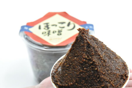 味噌 ほっこり味噌 熟成 天然醸造 味噌【2kg×3回 計6kg】【隔月定期便】