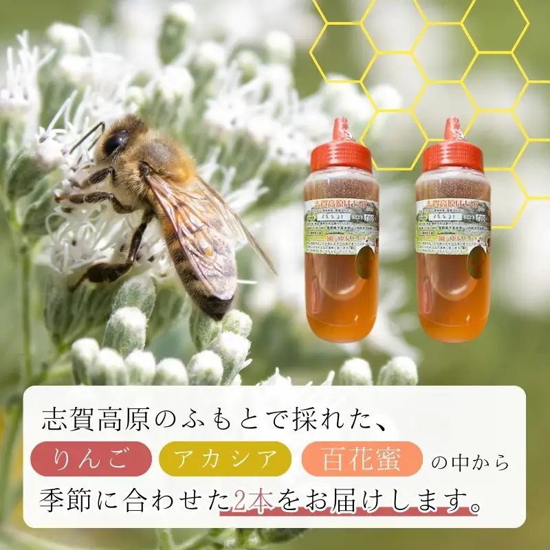 志賀高原はちみつ2本セット ハニー 国産はちみつ 長野県産はちみつ 100％天然はちみつ りんご アカシヤ 百花 