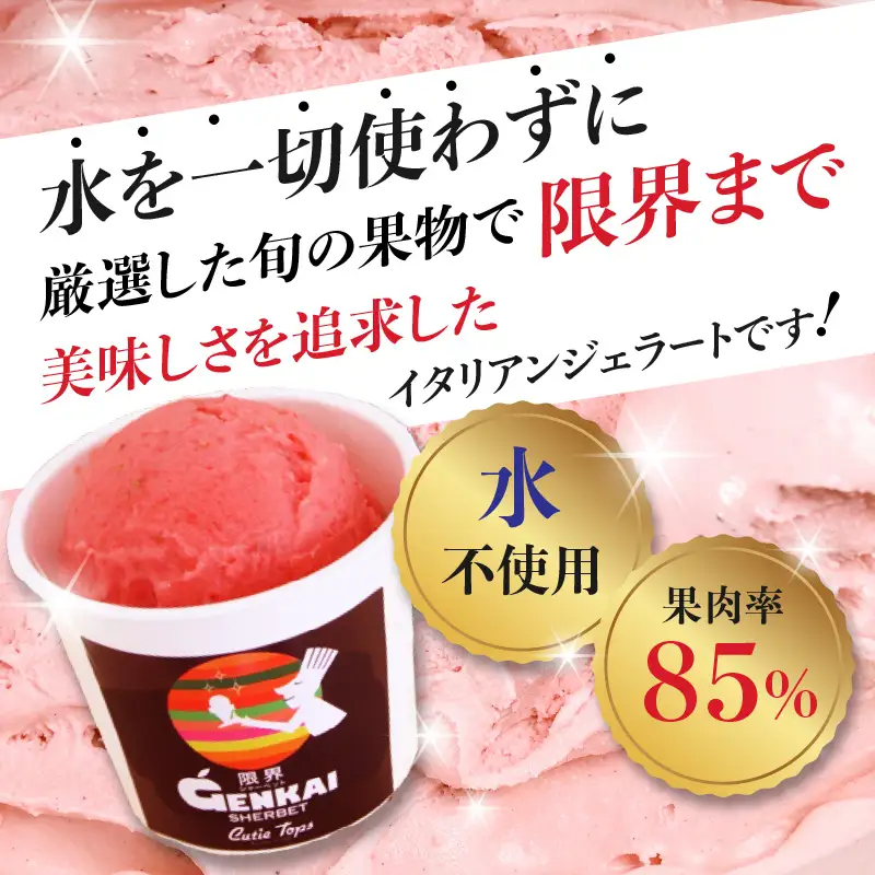 【敬老の日ギフト】 限界シャーベット 6個セット ≪9月21日お届け≫ J06018-K