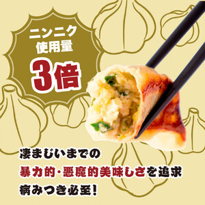 【大阪名物】大阪ふくちぁんスタミナ餃子 冷凍生餃子 288個 ［36個入×8セット］