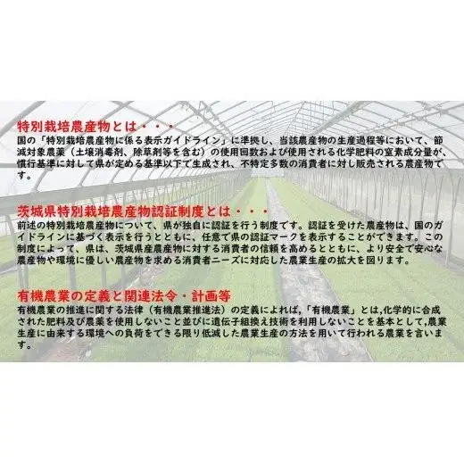 【3ヶ月定期便】コシヒカリ 玄米10kg×3回【茨城県認証米／オーガニック栽培】