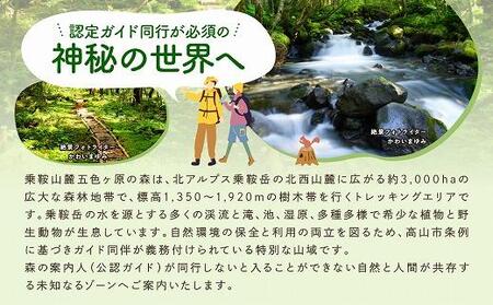 2025・26年度シーズン 乗鞍山麓 秘境「五色ヶ原の森」トレッキング  ロングコース「ゴスワラコース（所要8時間）」大人2名分 | 観光 森 自然 ガイド 案内 ツアー トレッキング 飛騨高山 乗鞍山麓五色ヶ原の森 MK003