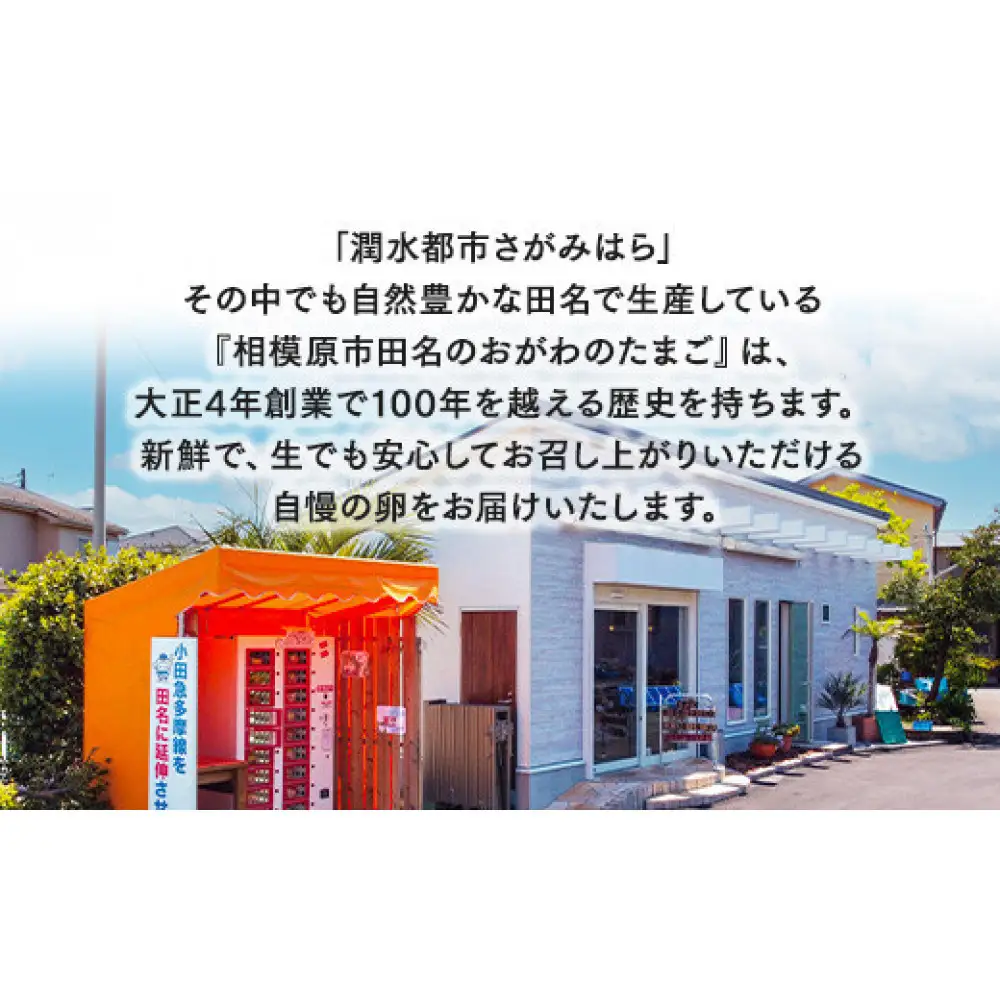 【4ヶ月定期便】【毎月前半発送】相模原市田名のおがわのたまご　ピンク卵 Mサイズ 30個(27個＋割れ補償3個)×4か月   国産 濃厚 コク 旨味｜たまご