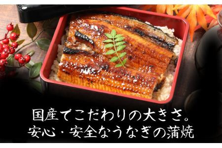 国産 活うなぎ蒲焼 約270g×1尾 [A-124002] 