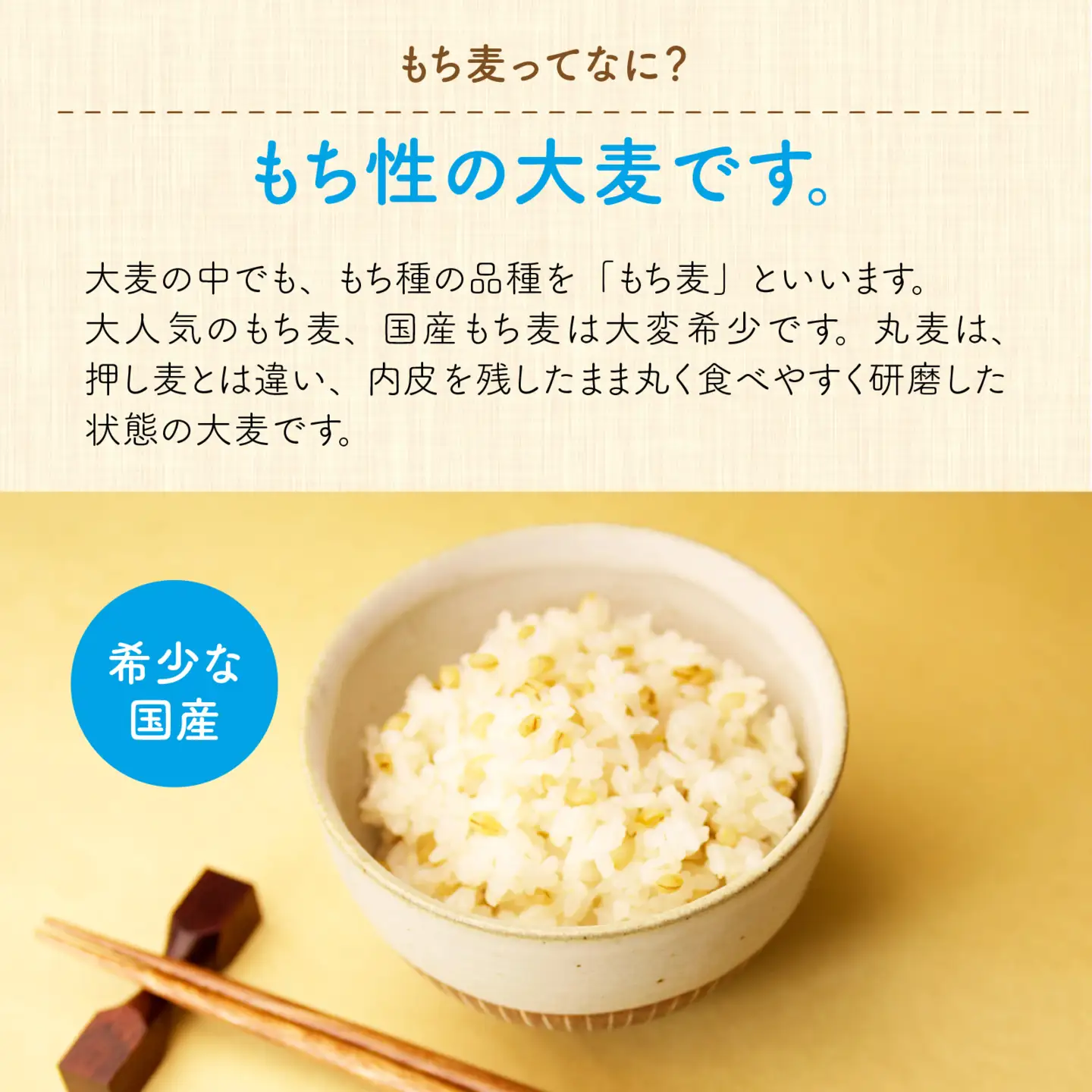 腸活美人 福井産六条大麦もち麦 5個セット [A-034003] 