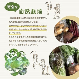 【6ヶ月定期便】百笑オーガニック野菜セット（8～10品目）（KAG-3）