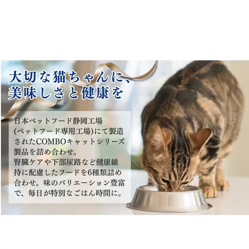 キャットフード コンボ 6種類 お試し セット キャットフード