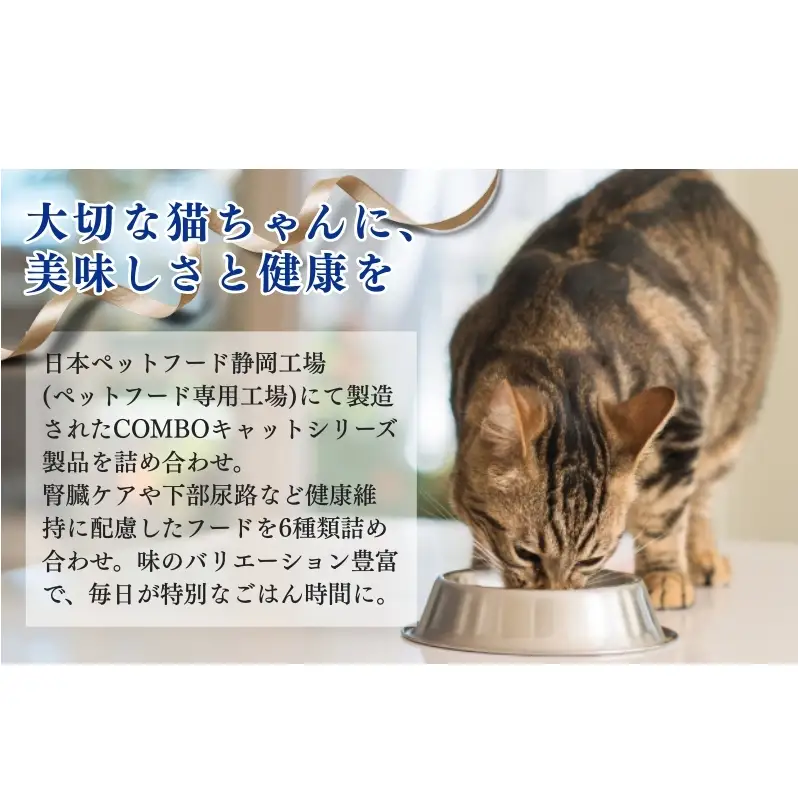 キャットフード コンボ 6種類 アソート 厳選素材 キャットフード