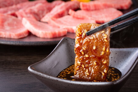 訳あり！艶さし！佐賀牛焼肉切り落とし　500ｇ J1356