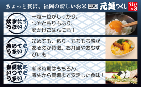福岡県産米 無添加「元気つくし」パックご飯 200g×48パック[H2309]