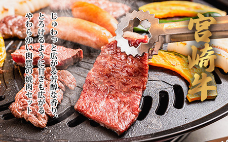 宮崎牛&焼鳥セットB（素焼き）TF0702-P00020