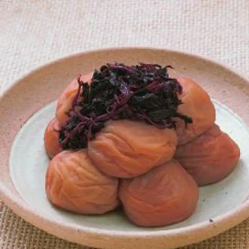 紀州南高梅　紀州ひとめぼれ（塩分約9％）800g  / 田辺市 紀州南高梅 南高梅 梅干し 梅干 梅 うめ 肉厚 お米 おにぎり 焼酎 梅酒 健康 こんぶ いわし【kbe015】