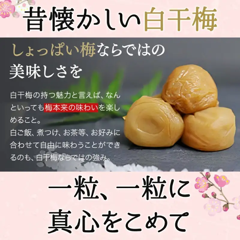 そのまんま白干梅 A級品 計1kg（250g×4個） / 梅干し 梅干 梅 和歌山 和歌山県産 田辺市 紀州南高梅 南高梅 白干し梅 無添加 しょっぱい梅干し 昔ながらの梅干し なつかしい A級【kfo007-1】