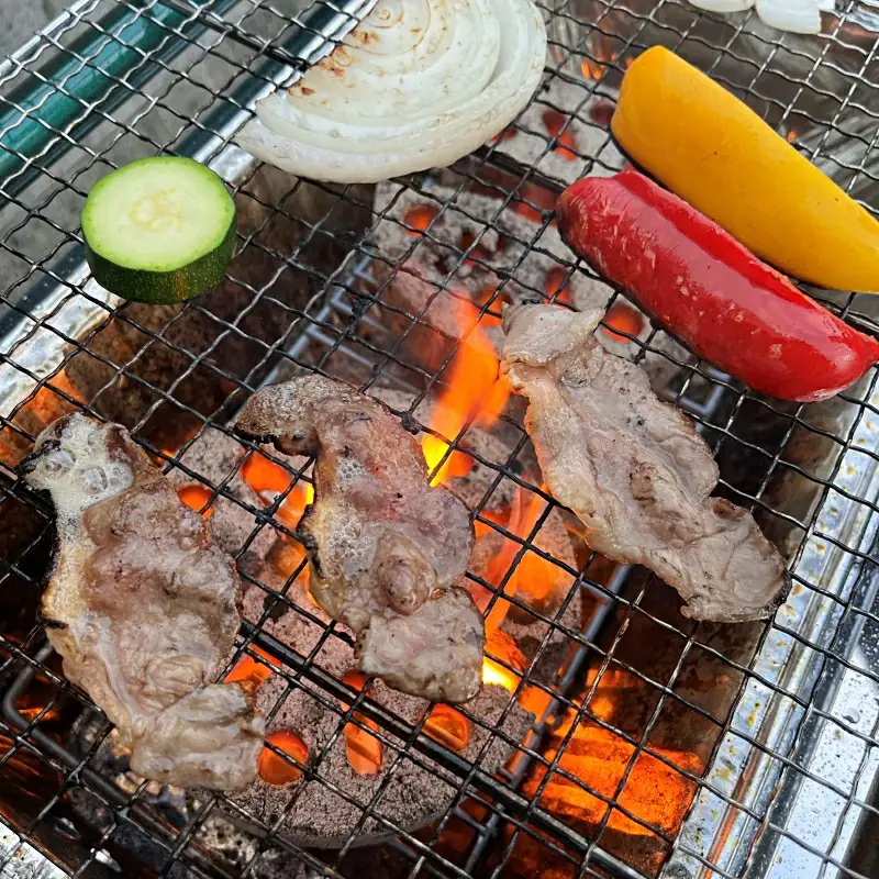 「紀州イノシシ肉」BBQ用セット【5～6人用セット】  / 田辺市 猪肉 イノシシ肉 イノシシ ボタン 肉  紀州ジビエ ジビエ バラ ロース 肩ロース 塊肉 バーベキュー BBQ【kgs008】