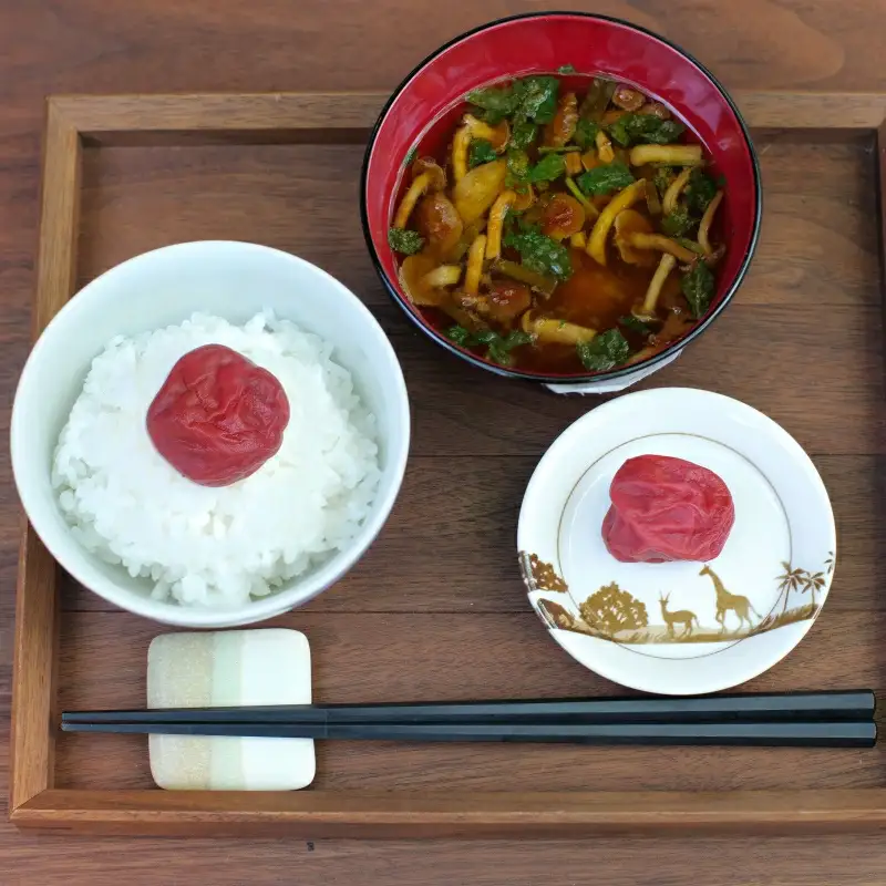 紀州蔵出し 完熟南高梅 しそ漬セット2.1kg（700g×3） / 田辺市 紀州南高梅 南高梅 梅干し 梅干 梅 うめ 肉厚 お米 おにぎり 焼酎 梅酒 健康 しそ漬け梅干し 紫蘇 シソ 和歌山【kms018-2】