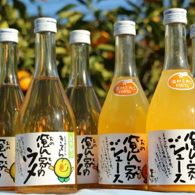 紀州産ミカンジュースと南高梅のジュースセット  季節毎の柑橘ジュース500ｍl×3本、梅ジュース500ｍl×3本 / 和歌山 和歌山県産 田辺市 紀州南高梅 梅  梅ジュース みかん みかんジュース 100％ジュース ジュースセット【ktr001-3】