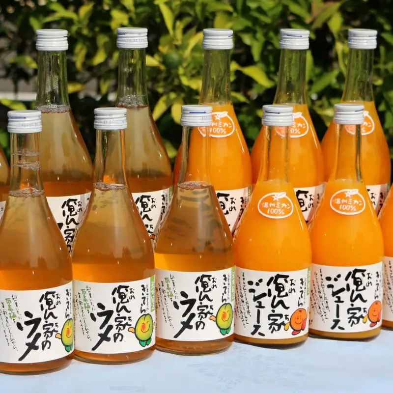紀州産ミカンジュースと南高梅のジュースセット 季節毎の柑橘ジュース500ml×６本・梅ジュース500ml×６本 / 和歌山 和歌山県産 田辺市 紀州南高梅 梅  梅ジュース みかん みかんジュース 100％ジュース ジュースセット【ktr006-3】