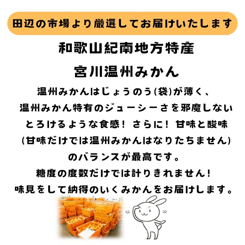 【11月下旬～12月下旬頃に順次発送予定】 温州みかん 15kg※【期間限定・先行予約・12/10まで】 / 田辺市 ミカン 温州みかん【mry015-2】