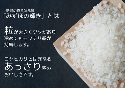 【パックご飯】 新潟県阿賀野市産みずほの輝き 150g×36食 1H13019