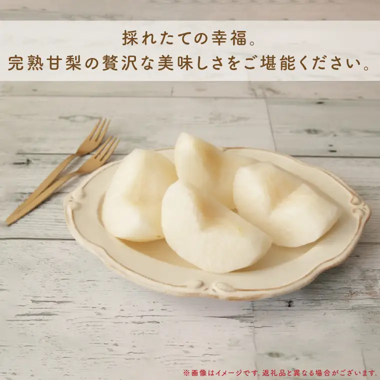 【8月中旬より発送】【数量限定】採れたて完熟甘梨（なし）約3kg（茨城県共通返礼品／かすみがうら市）（FW-11）