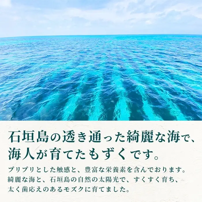 石垣島産 海人の味付け海雲(もずく) 3.5kg (250g×14) 