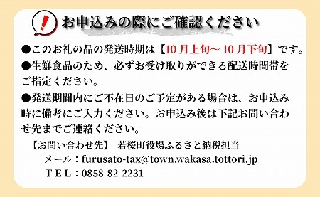 【先行予約】【産地直送】新興梨（しんこうなし）　５ｋｇ [261]