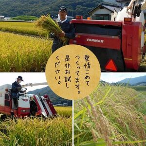 【令和6年度新米】多度津町産ヒノヒカリ・あきさかり大容量食べ比べセット 20kg【令和6年11月頃から発送】【A-99】