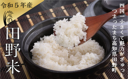 ★ 令和5年産 新米 ★ 田野米 20kg ＋ 田野屋青蜂 完全天日塩 80g セット　～ 精米 ・ 白米 ～
