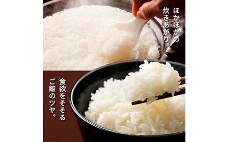 ★令和6年産 田野米  10kg（5kg×2袋）～精米・白米～