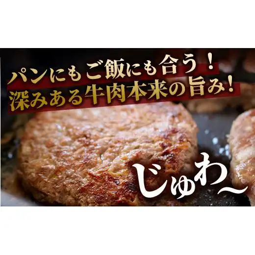 ミルミル和牛 石垣島ハンバーグ 5個入り（合計750g） Z-4