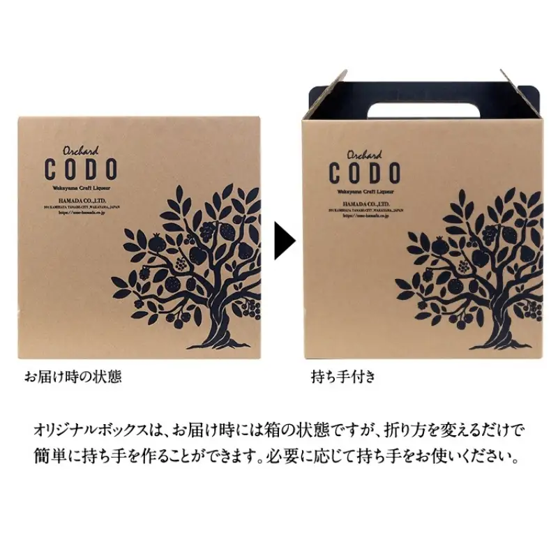 Orchard CODO 3本ギフトセット2（梅とエルダーの芳醇スパークリング 3本） / 和歌山 田辺市 梅干し 梅干 梅 うめ 酒 レモン みかん 夏みかん 本格梅酒 選べる  ギフト 贈答品【isg025-2-2】