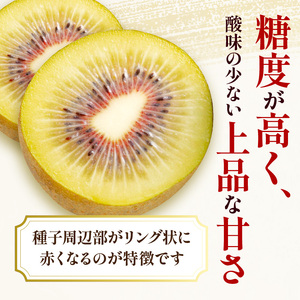 【さぬき讃フルーツ】さぬきエンジェルスイートキウイ 約1kg化粧箱入り
