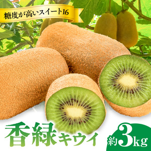 【さぬき讃フルーツ】香緑キウイ(スイート16)約3kg