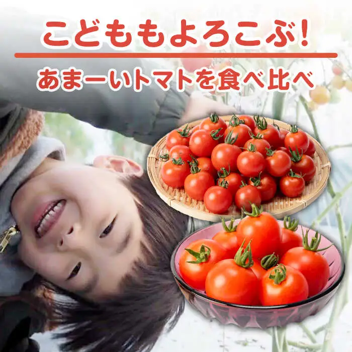 ミディアムトマト 3kg（1.5kg×2箱）《壱岐市》【ISLAND FARM】[JFL002]
