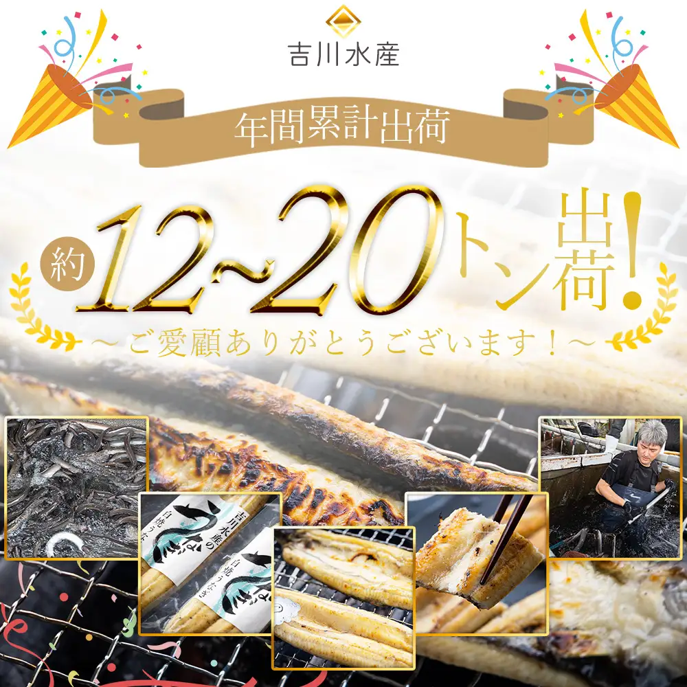 鰻白焼 2尾 うなぎ 【 鰻 】  yw-0108