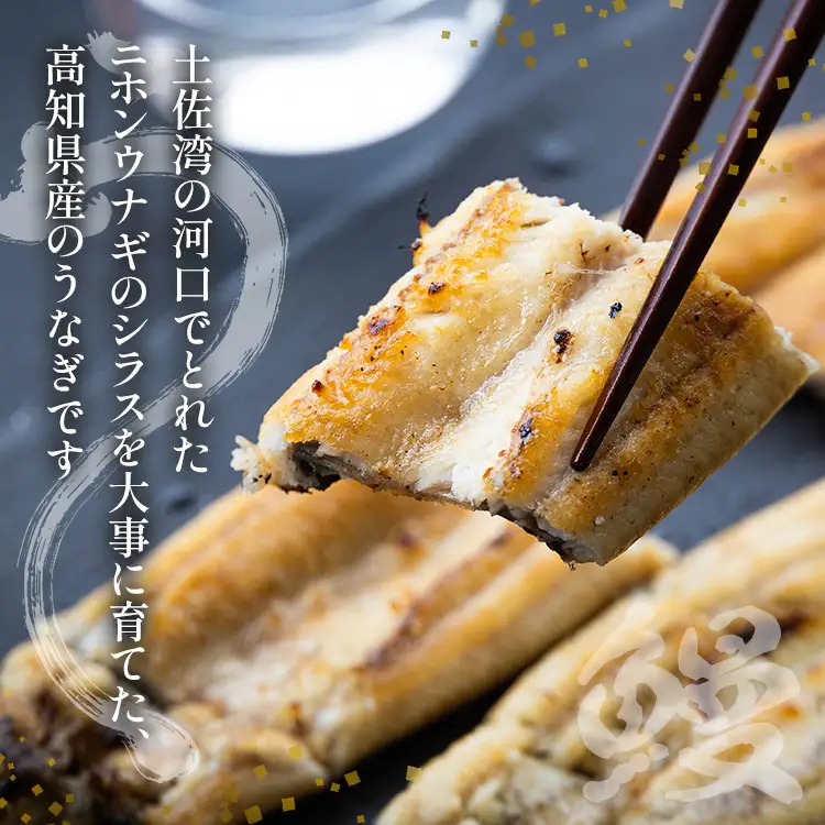 高知県産うなぎ 白焼き 180～210ｇ 3尾 白焼き yw-0120