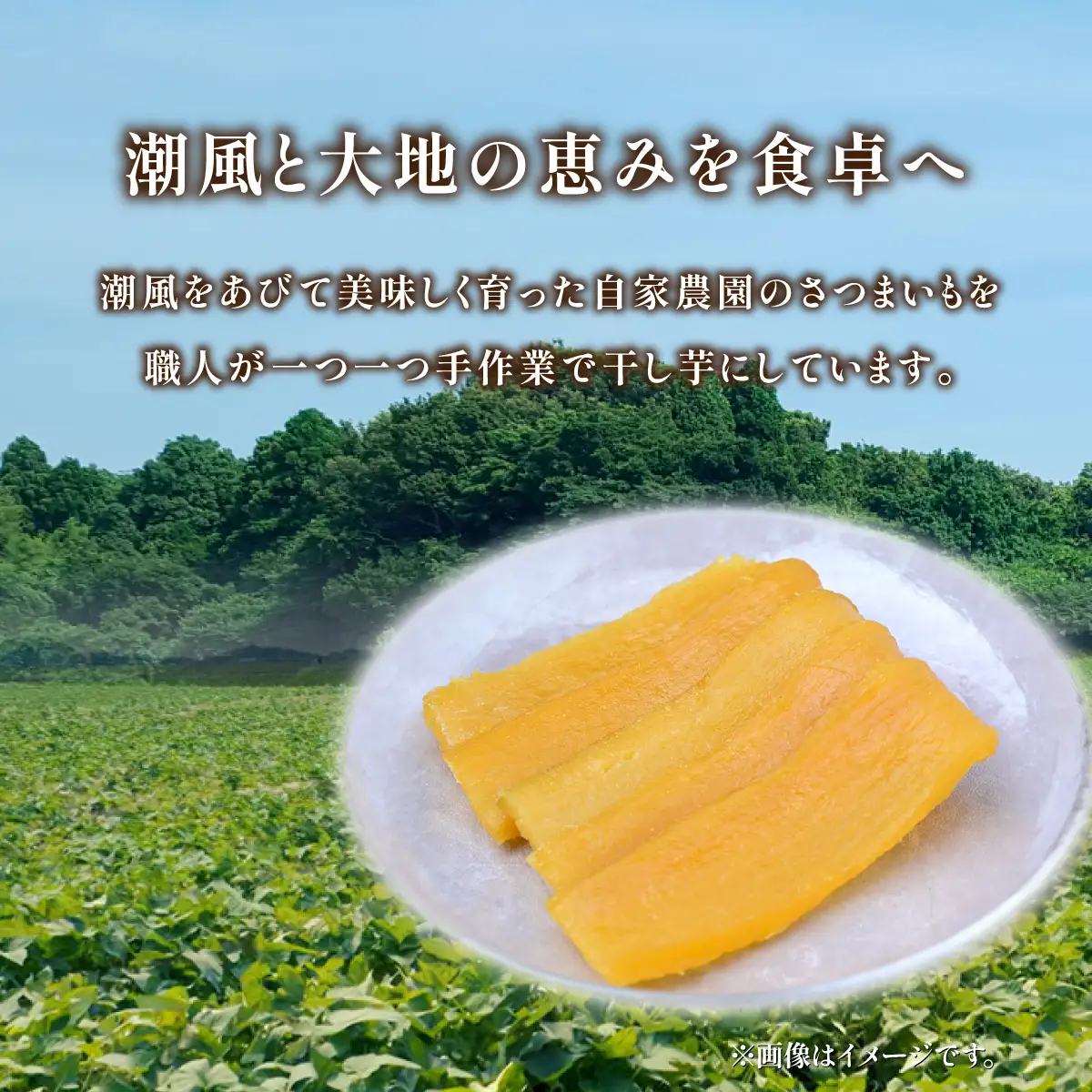 干し芋 紅はるかの平干し芋900g 先行受付 | 二川農園  茨城県 ひたちなか市 
