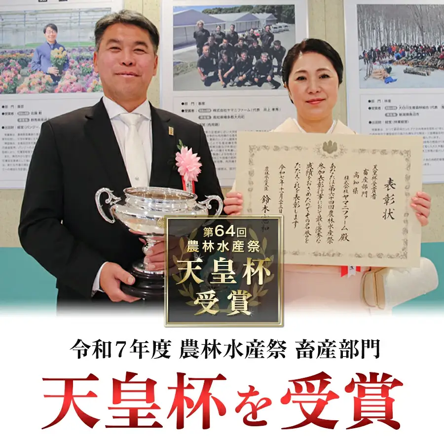 【定期便 年6回】よさこい尾鶏 バラエティ定期便