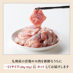 鶏肉 企業努力により実現！若鶏もも切身計5.1kg(4.8kg+300g) 小分け
