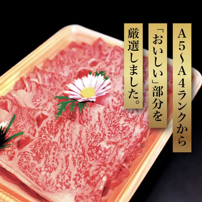 牛 ロース 【全6回定期便】 400g 博多和牛A5‐A4 [ABCJ103] 牛 ロース